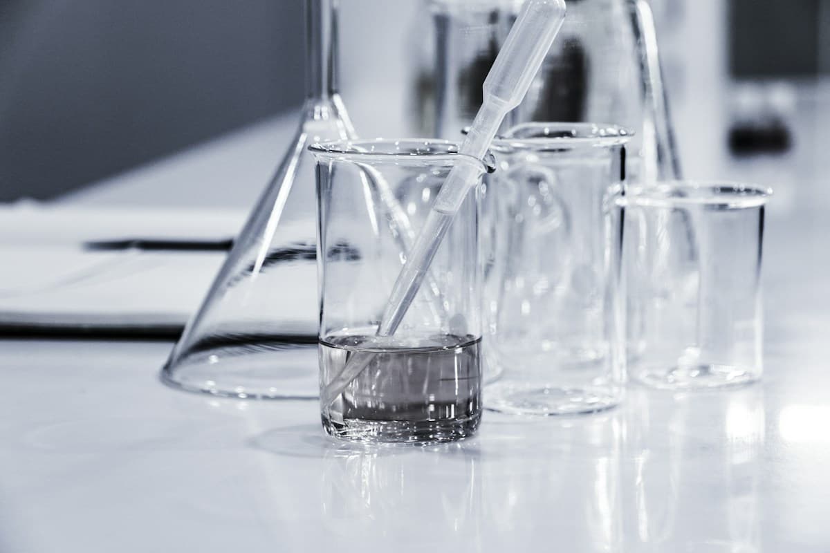 Students exploring chemistry in a laboratory